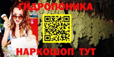 дмт Краснознаменск