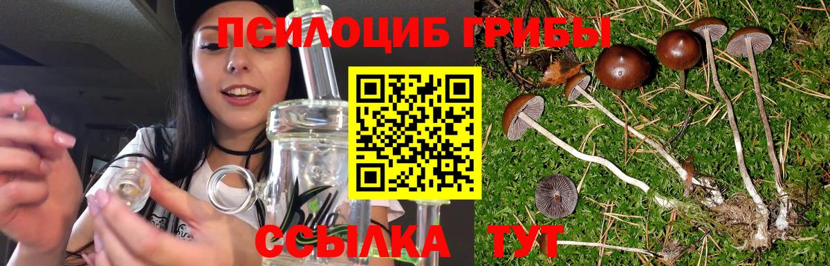 Псилоцибиновые грибы Psilocybine cubensis Зеленодольск