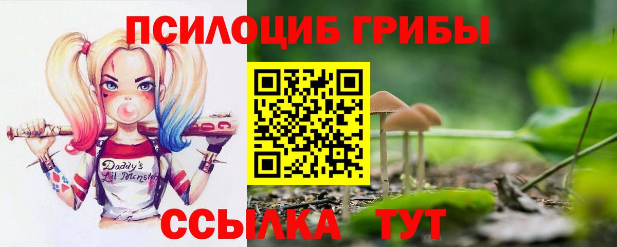 Зеленодольск  Псилоцибиновые грибы прущие грибы  Вход с VPN 